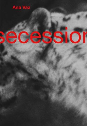 Secession
