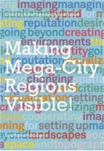 Making Mega-Cities Region Visible