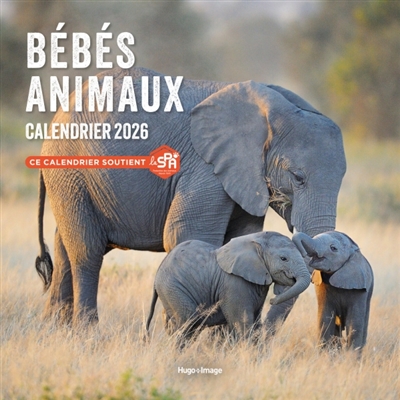 Calendrier mural Bébés Animaux 2026