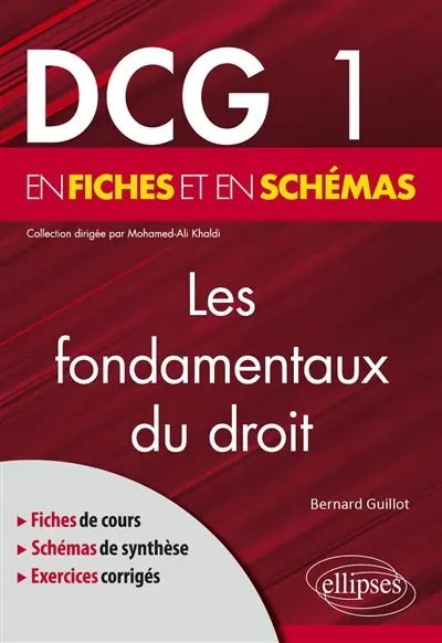 Les fondamentaux du droit : DCG 1 en fiches et en schémas