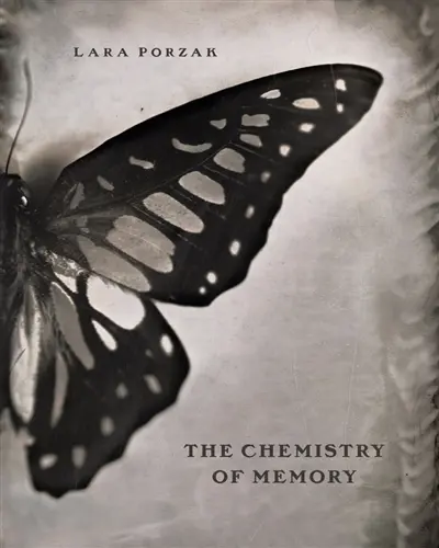 The chemistry of memory