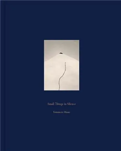 Masao Yamamoto Small Things in Silence