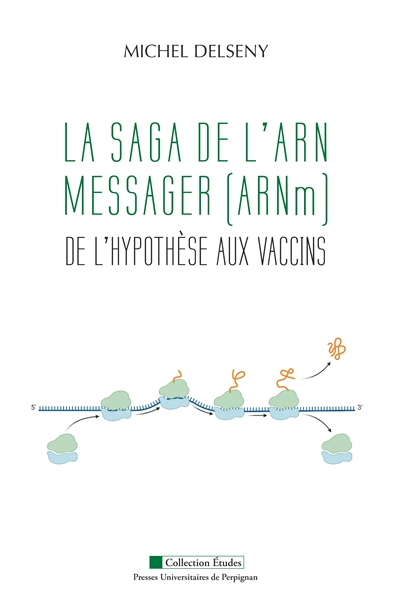 La saga de l'ARN messager (ARNm) : de l'hypothèse aux vaccins
