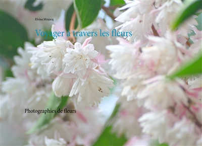 Voyager à travers les...