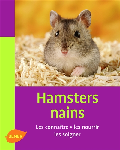 Hamsters nains : les connaître, les nourrir, les soigner