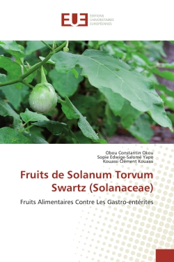 Fruits de Solanum Torvum...