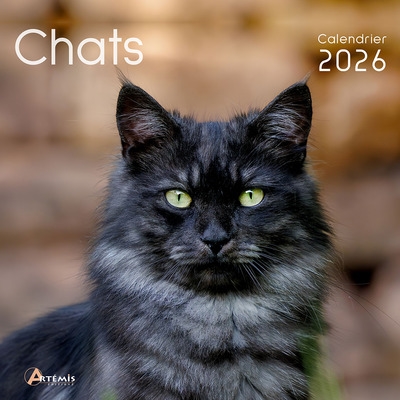 Chats : calendrier 2026 :...