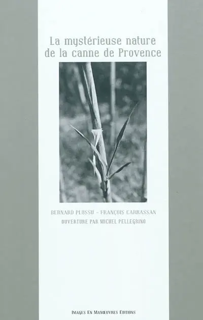 La mystérieuse nature de la canne de Provence
