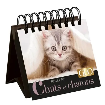 Chats et chatons : 365 jours