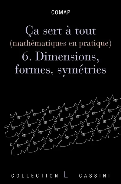 Ca sert à tout : mathématiques en pratique. Vol. 6. Dimensions, formes, symétries