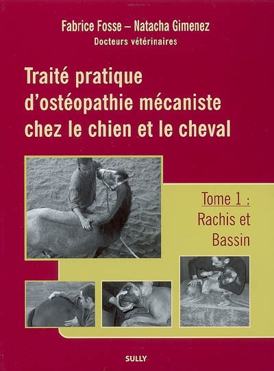 Traité pratique...