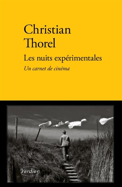 Les nuits expérimentales : un carnet de cinéma
