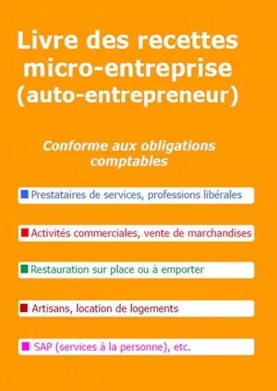 Livre des recettes micro-entreprise