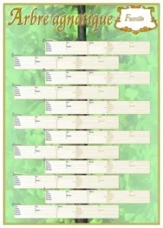 Arbre agnatique