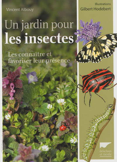 Un jardin pour les insectes : les connaître et favoriser leur présence