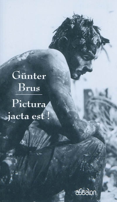 Pictura jacta est ! : poésies théoriques