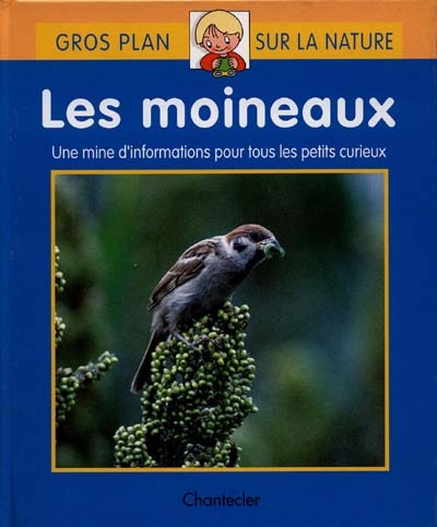 Gros plan sur la nature : les moineaux