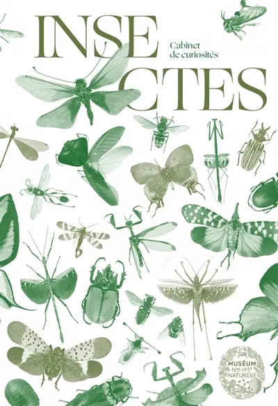 Insectes : minuscules colosses Insectes : minuscules colosses