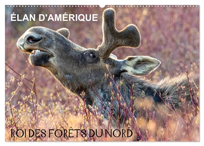 ELAN D'AMERIQUE : ROI DES FORETS DU NORD (Calendrier mural 2026 DIN A2 vertical), CALVENDO calendrier mensuel : Comme un roi dans son royaume, l’orignal d’Amérique domine par sa puissance et aucun autre animal ne viendra le déranger.
