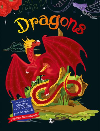 dragons : des planches à gratter et colorier pour des effets de couleurs fantastiques