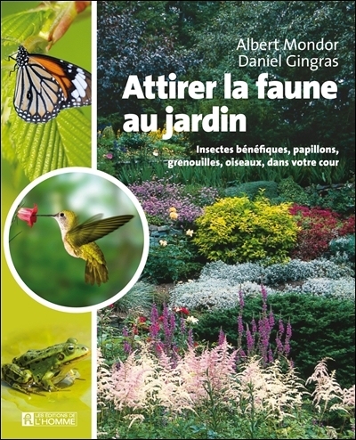 Attirer la faune au jardin : insectes bénéfiques, papillons, grenouilles et oiseaux dans votre cour