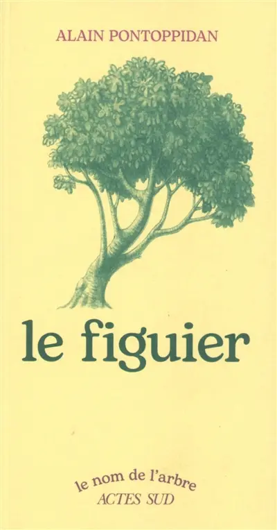 Le figuier