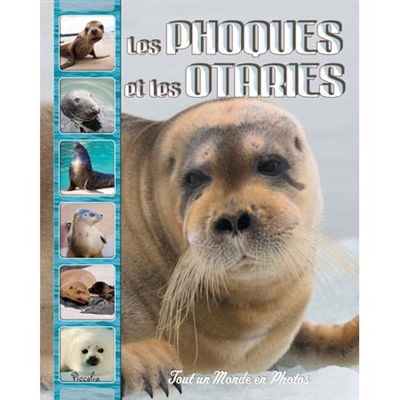 Les phoques et les otaries