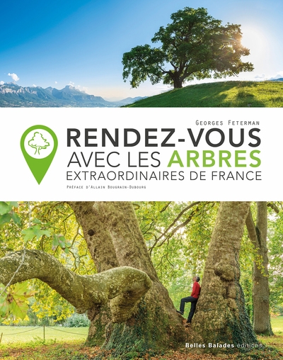 Rendez-vous avec les arbres extraordinaires de France