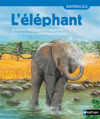 L'éléphant : Boubacar l'éléphanteau s'approche d'un mystérieux rocher sans se méfier...