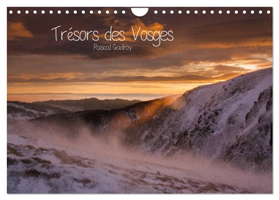 Trésors des Vosges (Calendrier mural 2025 DIN A4 vertical), CALVENDO calendrier mensuel : Faune et paysages des Vosges