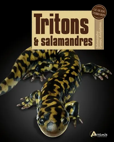 Tritons et salamandres : salamandra, cynops, ambystoma...