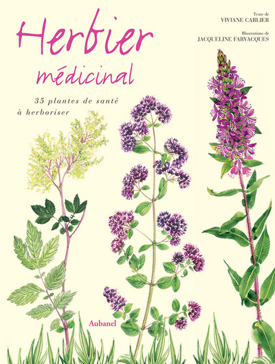 Herbier médicinal : 35 plantes de santé à herboriser