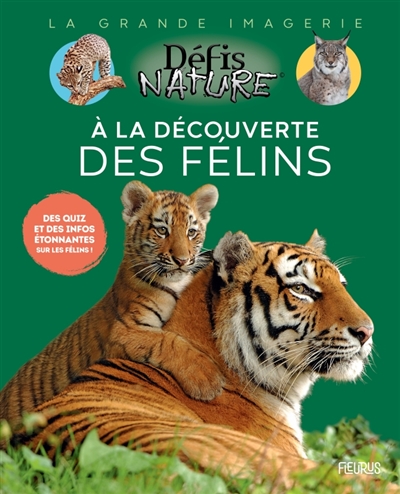 a la découverte des félins : des quiz et des infos étonnantes sur les félins !