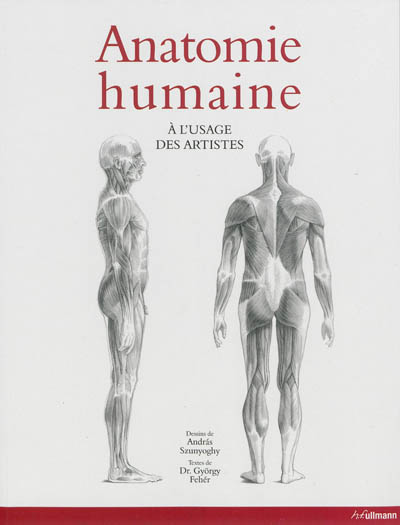 Anatomie humaine : à l'usage des artistes