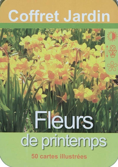 Fleurs de printemps : 50 cartes illustrées