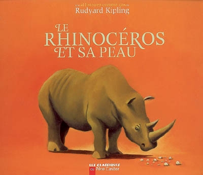 Le rhinocéros et sa peau