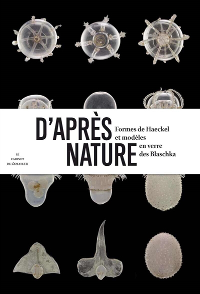 D'après nature : formes de Haeckel et modèles en verre des Blaschka