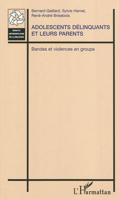 Adolescents délinquants et leurs parents : bandes et violences en groupe