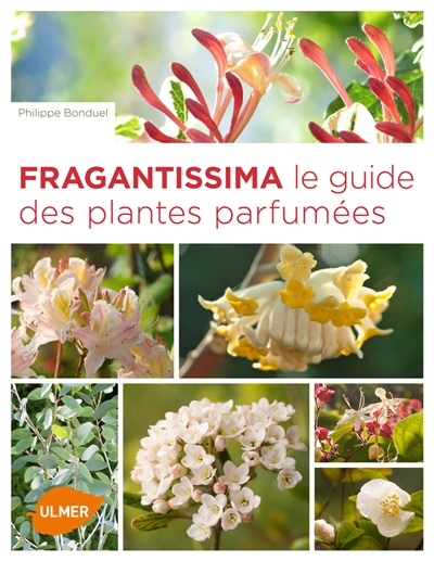 Fragrantissima : le guide des plantes parfumées