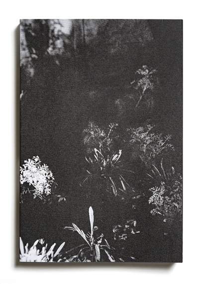 Le jardin d'après : sur les traces du Premier jardin d'Anne Hébert