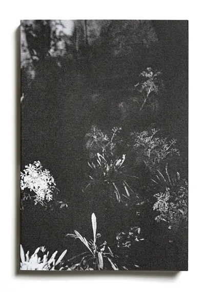 Le jardin d'après : sur les traces du Premier jardin d'Anne Hébert