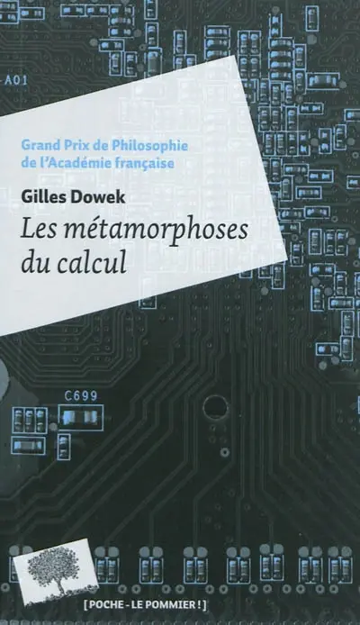 Les métamorphoses du calcul : une étonnante histoire de mathématiques