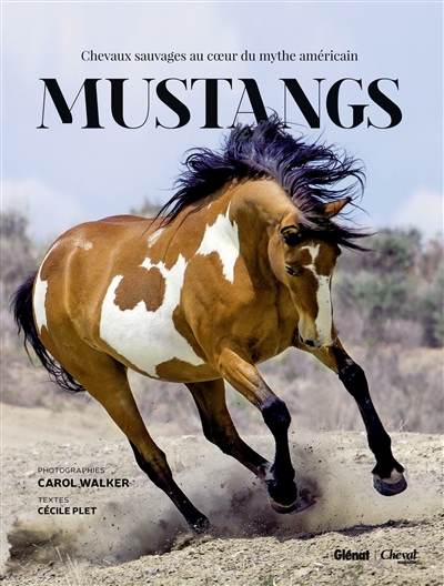 Mustangs : chevaux sauvages au coeur du mythe américain