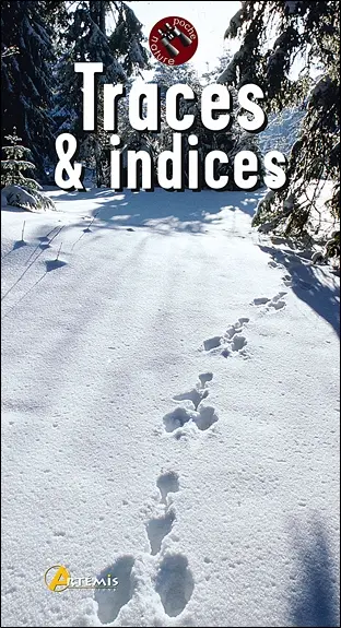Traces & indices