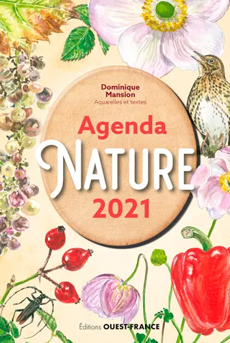 Agendas, calendriers, almanachs 2021