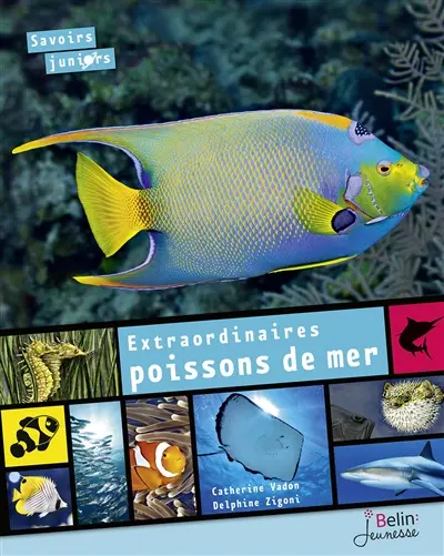 Extraordinaires poissons de mer