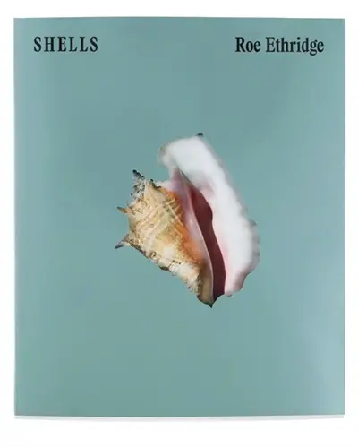 SHELLS : Note Note Collection Vol. 4