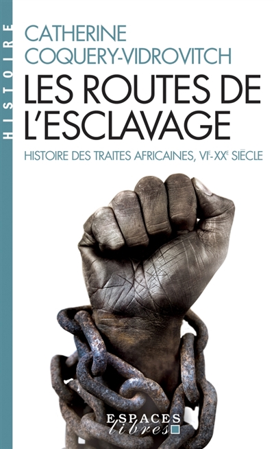 Les routes de l'esclavage : histoire des traites africaines, VIe-XXe siècle