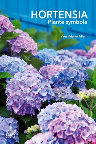 Hortensia : plante symbole