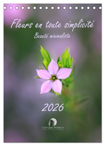 Fleurs en toute simplicité : Beauté minimaliste (Calendrier de bureau 2026 DIN A5 horizontal), CALVENDO calendrier mensuel : Un calendrier délicat et raffiné qui célèbre la grâce des fleurs dans leur plus pure simplicité, pour douze mois de beauté minimaliste.